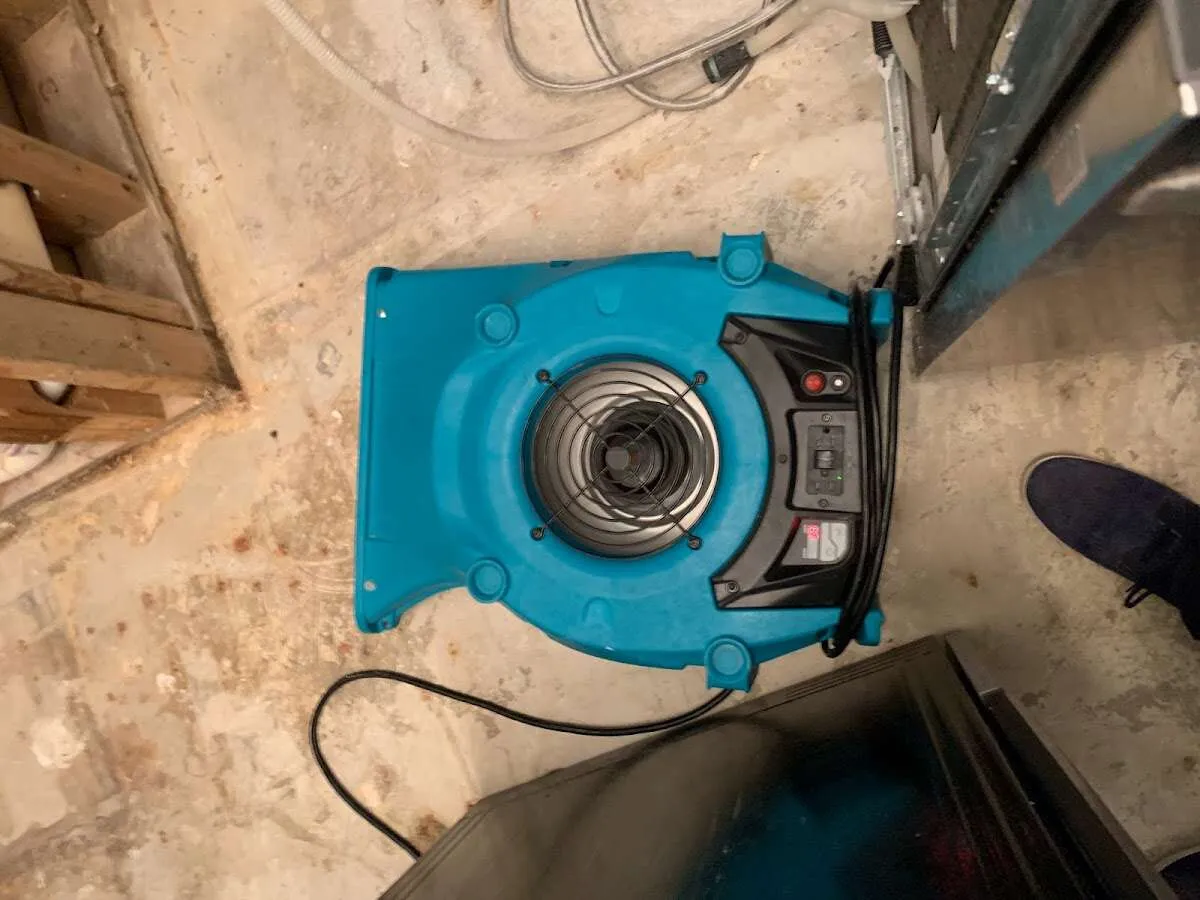 Air mover drying equipment for Mold Remediation & Removal in West Carson